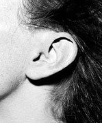 Ohr - Bewusste Kommunikation